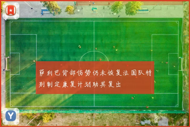 萨利巴背部伤势仍未恢复法国队特别制定康复计划助其复出